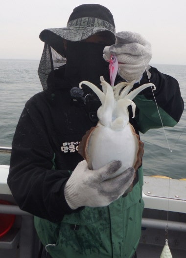 인천 봄 갑오징어 낚시!! 낚시방법및 6월2일 초보에게 도움이 되는 신나는 조행기!(f.우리바다호)