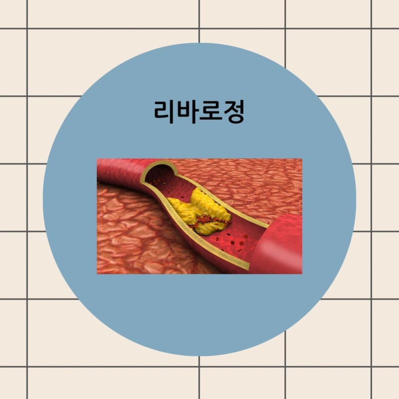 리바로정 1mg 2mg 부작용 성분