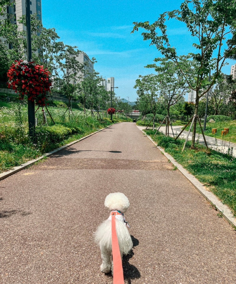 사진 7
