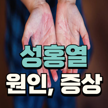 성홍열 증상 격리 발진 성인 전염 원인