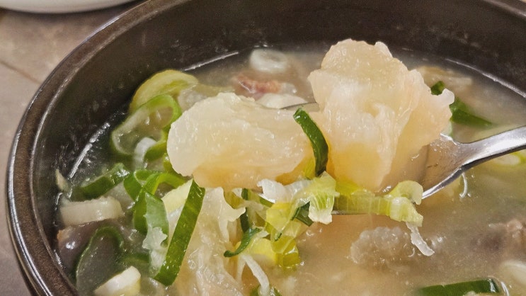  서초도가니탕 서초본점, 우설과 스지 고기의 환상적인 교대역수육