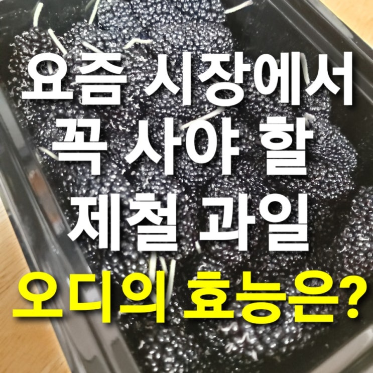  요즘 시장에서 꼭 사야 할 제철 과일, 오디의 효능은?