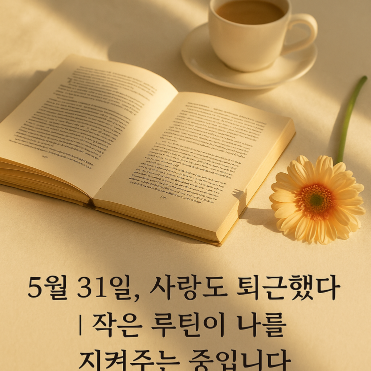  5월 31일, 사랑도 퇴근했다｜6월 루틴과 2025 하반기 다짐