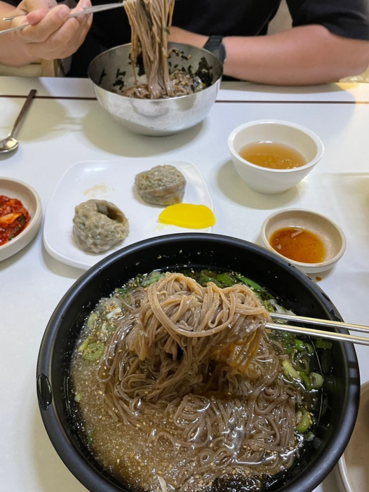  [청주 칼국수 맛집] 올 여름을 강타할 시원한 냉소바 후기