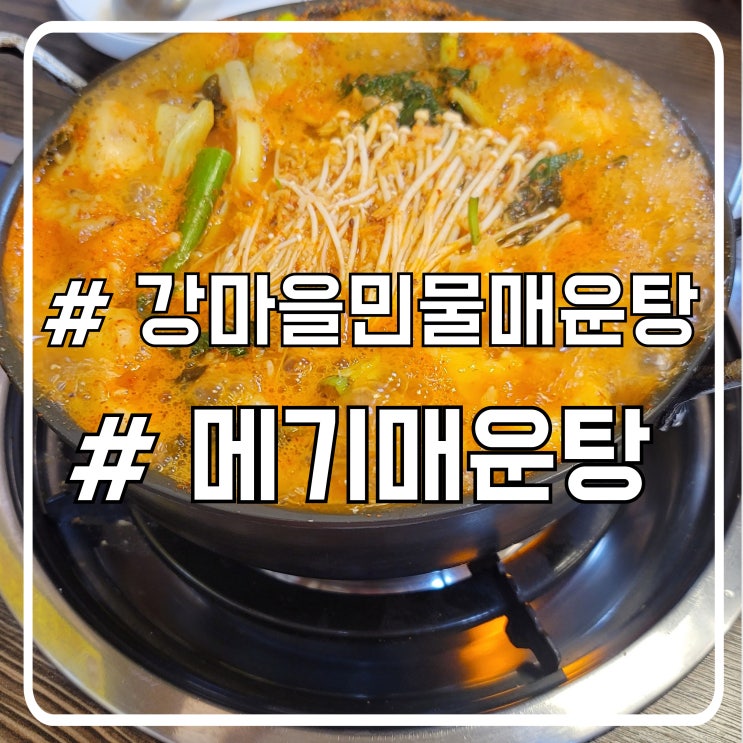 와동맛집 시원하고 얼큰한 메기매운탕 안산민물매운탕 손수제비 강마을민물매운탕안산점