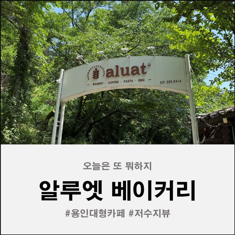 사진 2