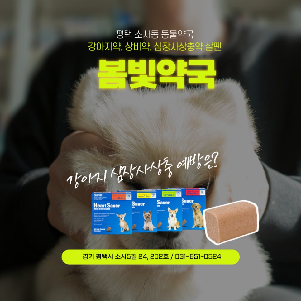 봄빛약국 사진 6