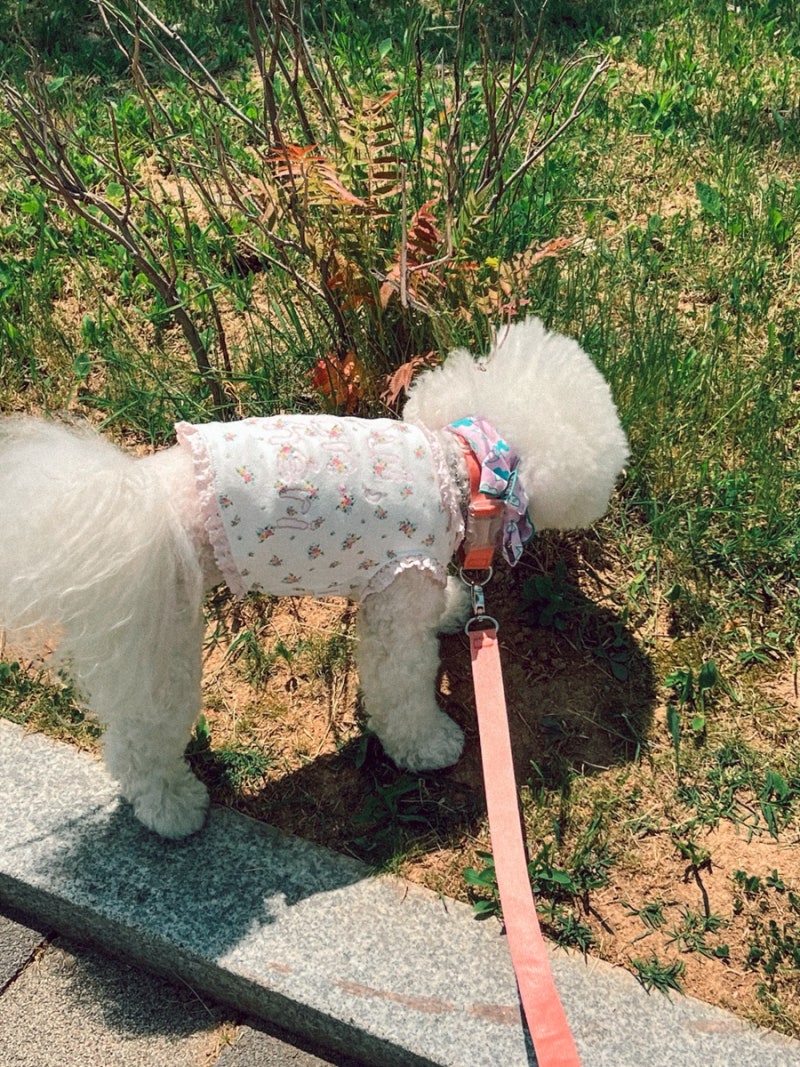 사진 8