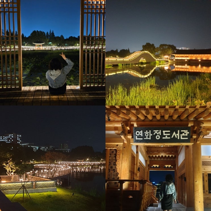  전주 야경 명소 덕진공원 연화정도서관 야간 드라이브 코스
