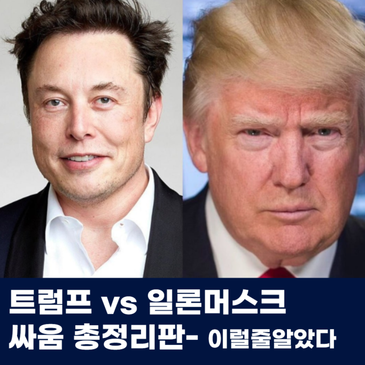  트럼프와 일론 머스크 싸움 총정리 비트코인 대폭락
