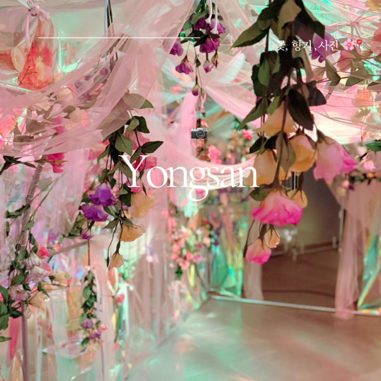  서울 6월 전시 ㅣ 용산가볼만한곳 ㅣ 플로랄파레트 인생사진관 후기 ㅣ 포토존 ㅣ 주차 ㅣ 가격