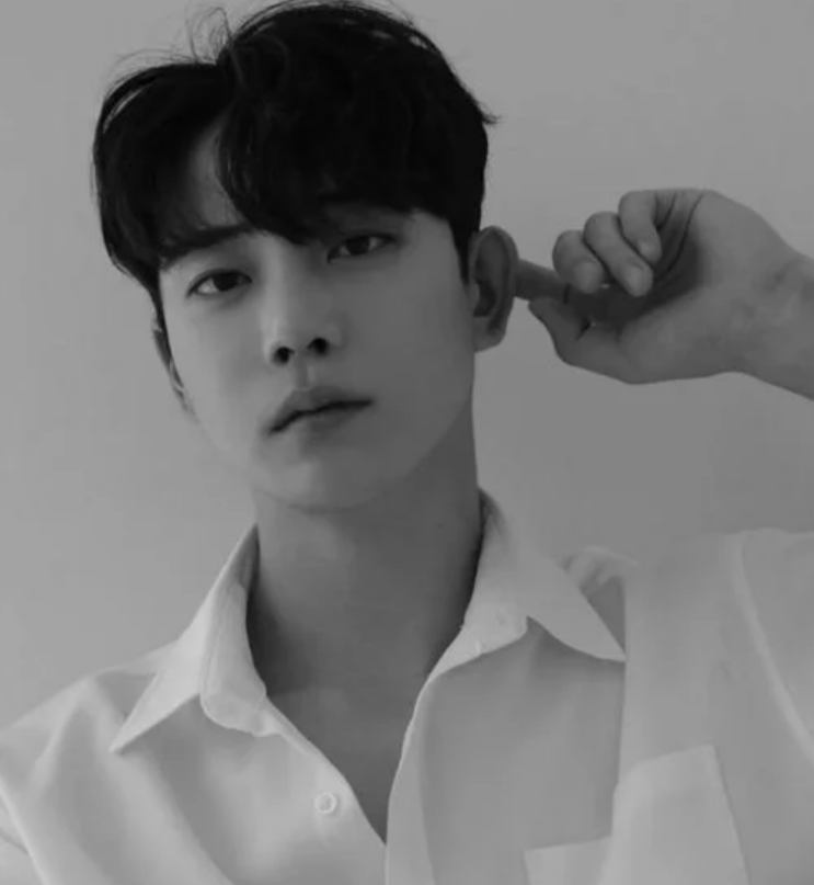 '다슈 <b>모델</b>' <b>김종석 사망</b>, 향년 29
