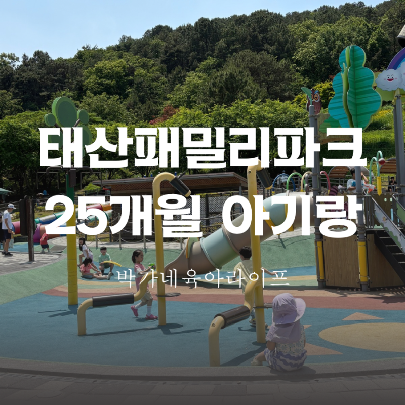 사진 7