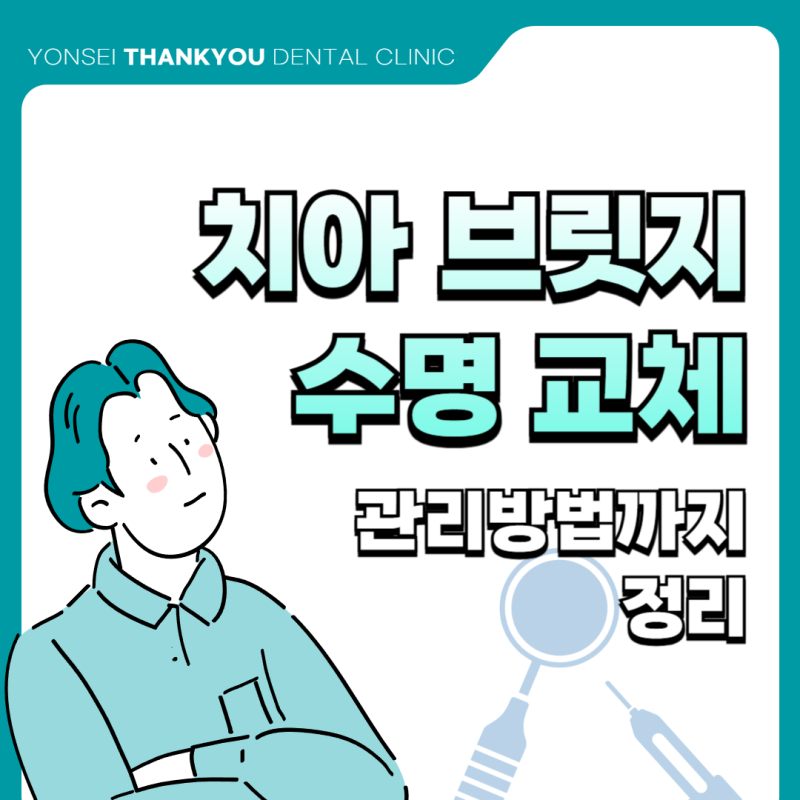 치아 브릿지 수명 교체, 방법까지 정리