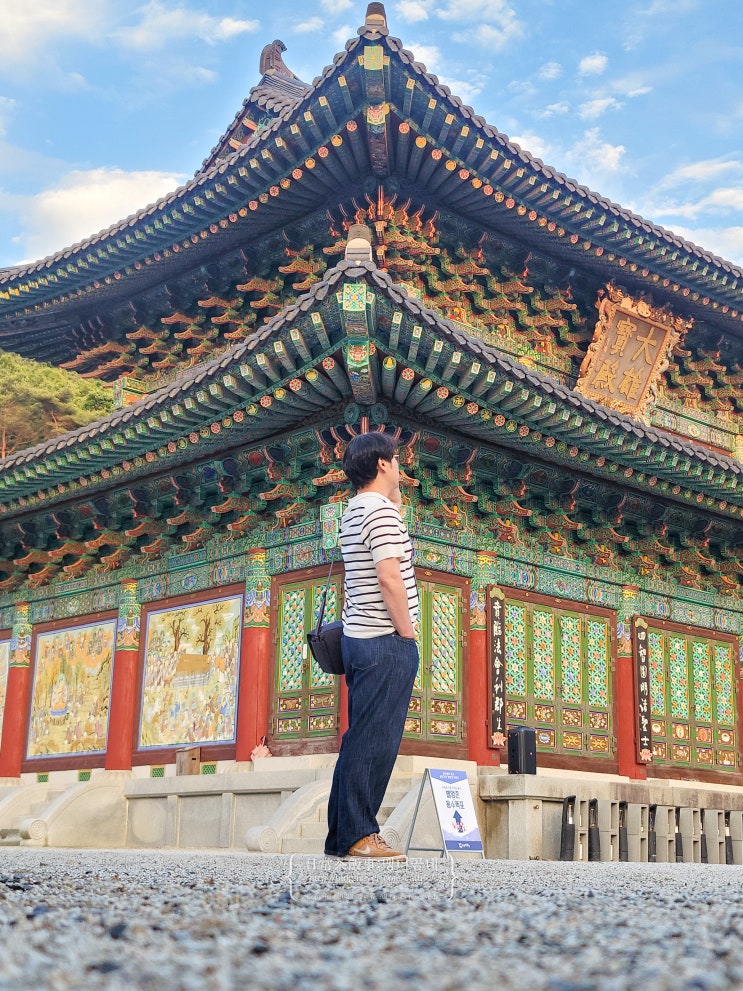  전남 영암 곤충박물관 반딧불이 축제 먹거리 후기 놀거리