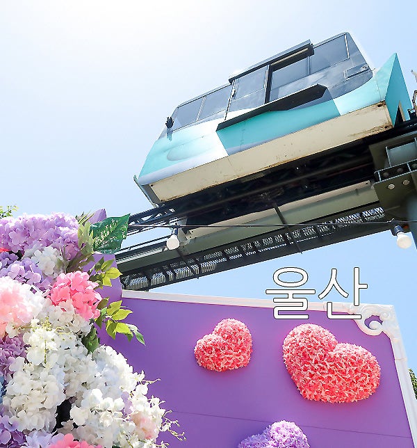 사진 5