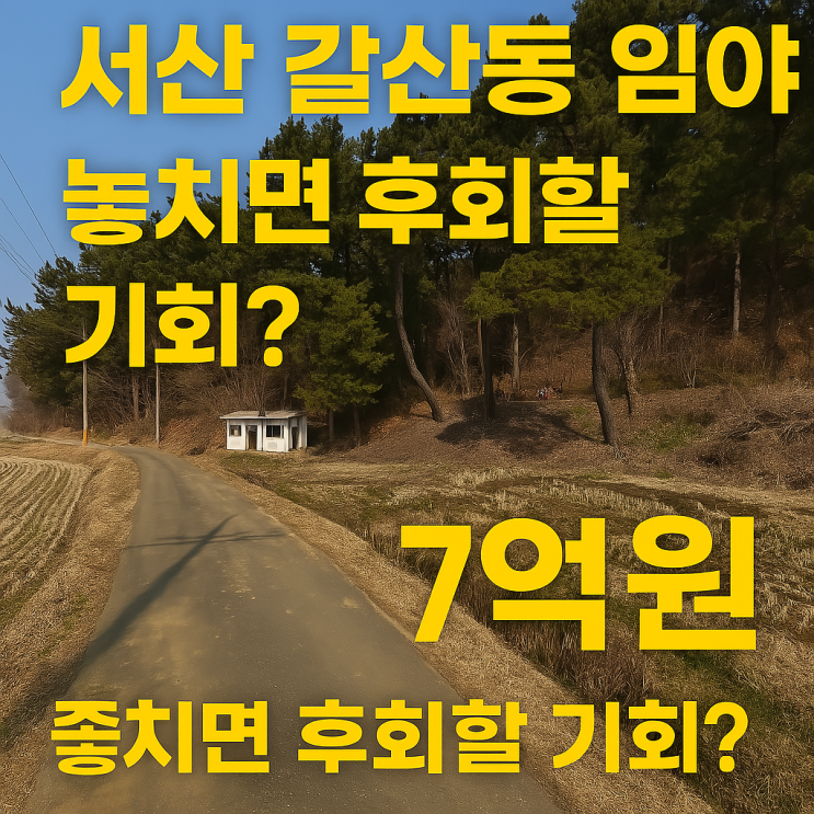  이천 IT 부동산: 서산 갈산동 임야 투자, 놓치면 후회할 기회? (7억원)
