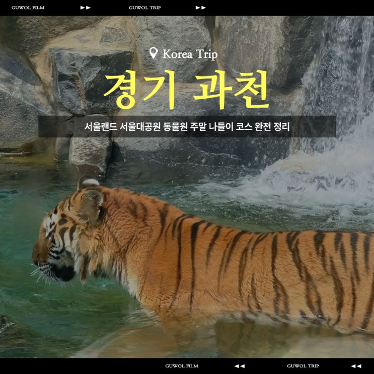  서울랜드 서울대공원 동물원 주말 나들이 코스 완전 정리