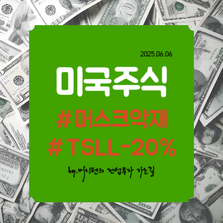 TSLL 급락, 반도체종목 하락, 나스닥지수하락, <b>비트코인시장급락</b>