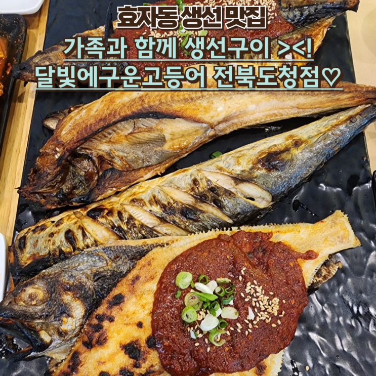  내돈내산 효자동 생선구이맛집 : 달빛에구운고등어 전북도청점