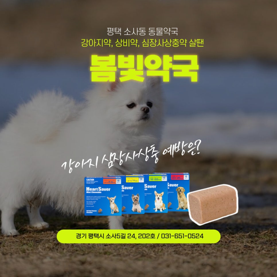 봄빛약국 사진 3