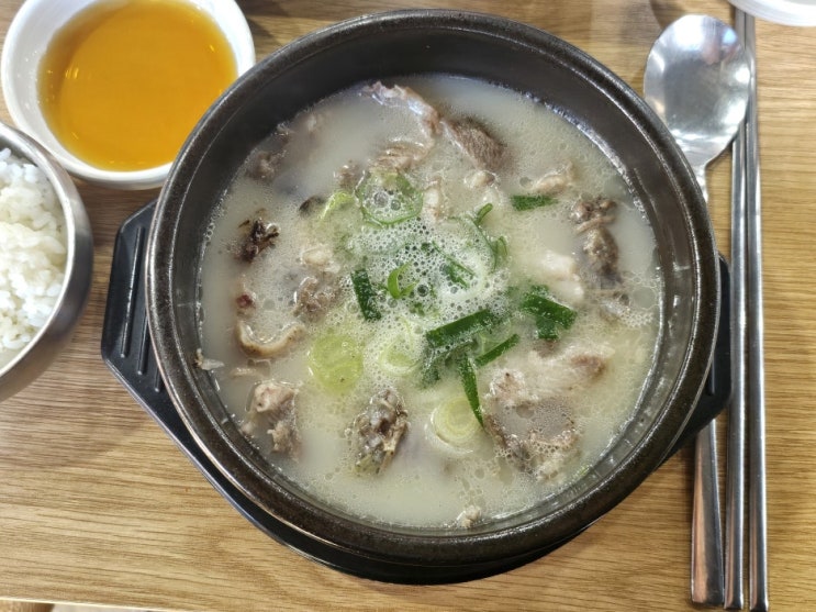  포항 철길숲 맛집 유가네한우곰탕 포항철길숲점 젤라또도 줌