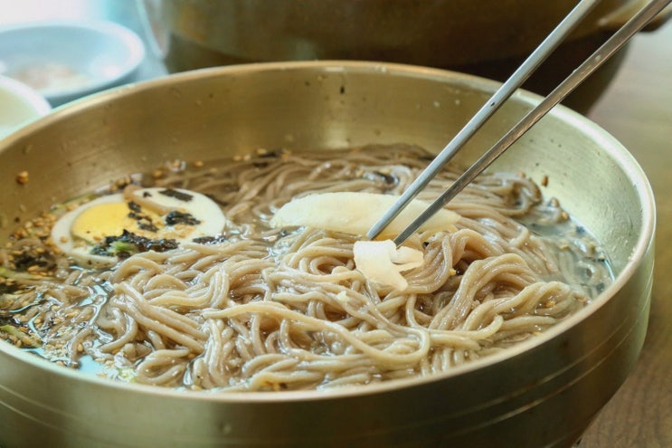  [송지호막국수 고성본점] 시원하고 담백한 고성 막국수, 추천 맛집