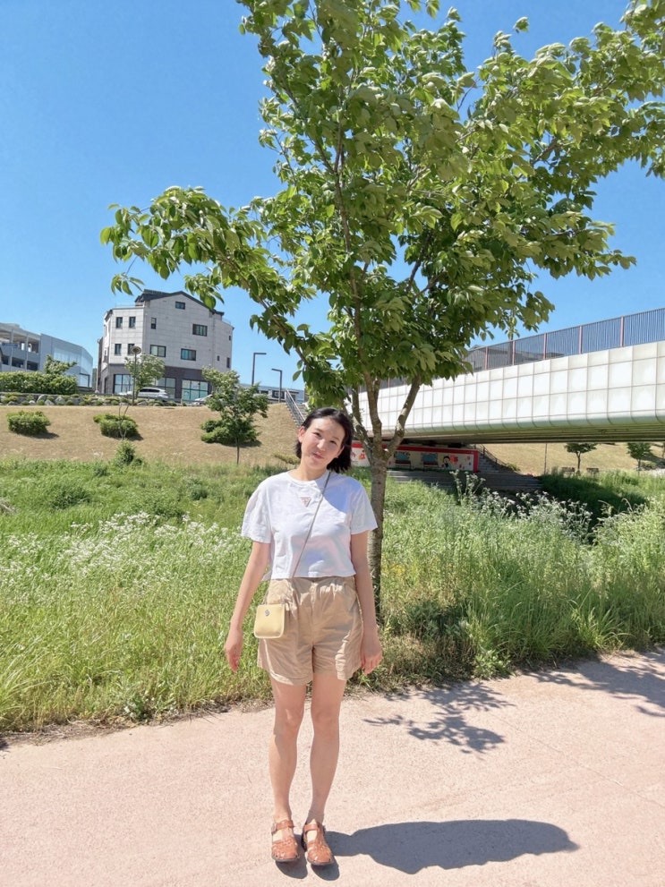  동탄 다이어트 추천, 장지동 점핑으로 운동하고 찜질카페숲으로 붓기 제거!정체기 끝내고 -2kg 감량한 후기