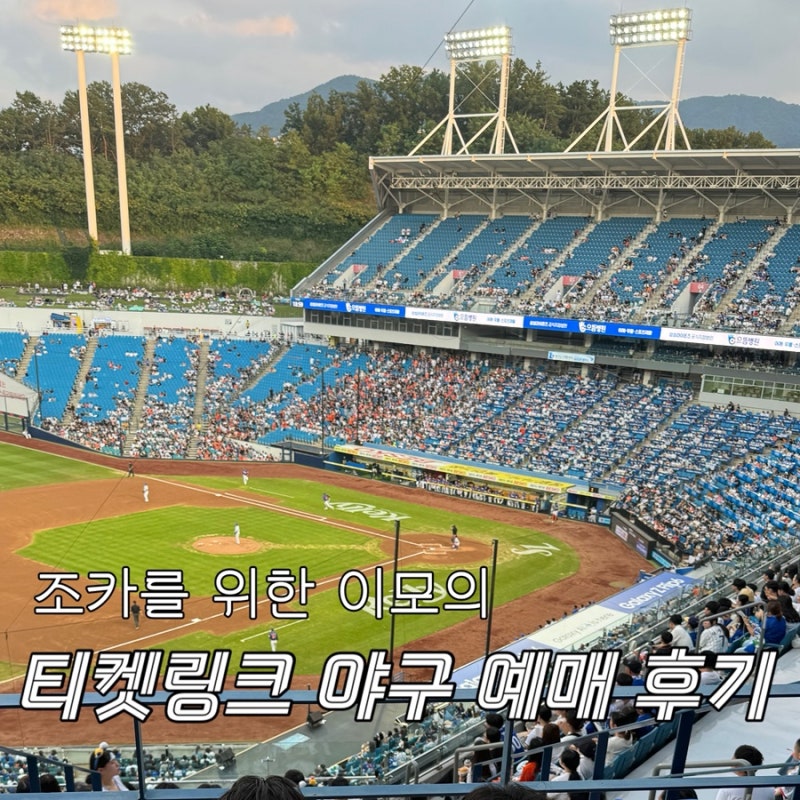 티켓팅 금손이 알려주는 티켓링크 야구 예매 방법과 꿀팁