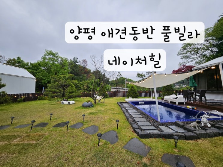  [경기도] 양평애견풀빌라 애견동반펜션 독채펜션 네이처힐 예약 링크