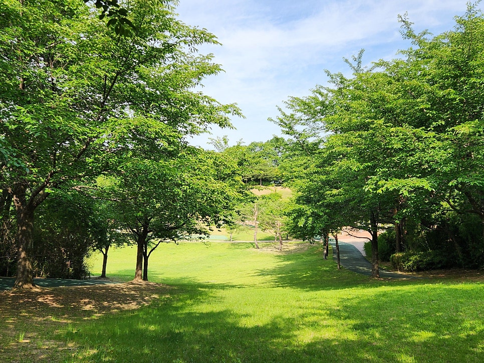 Taeheungnu1hojeom photo 6