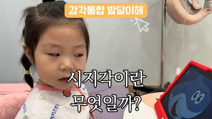  우리 아이 시지각 발달이 중요한 이유
