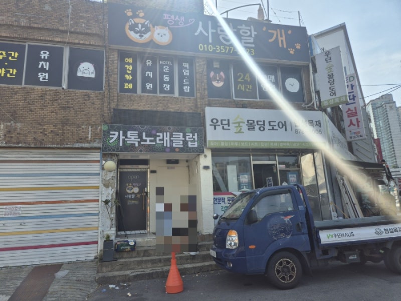 평생 사랑할 개