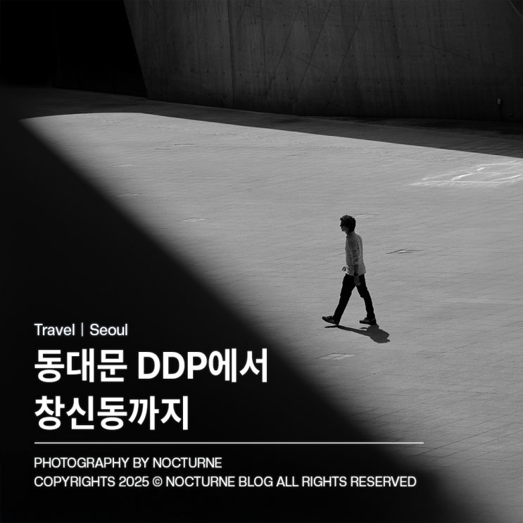  서울 가볼만한 곳 : 동대문DDP부터 창신동까지 골목출사