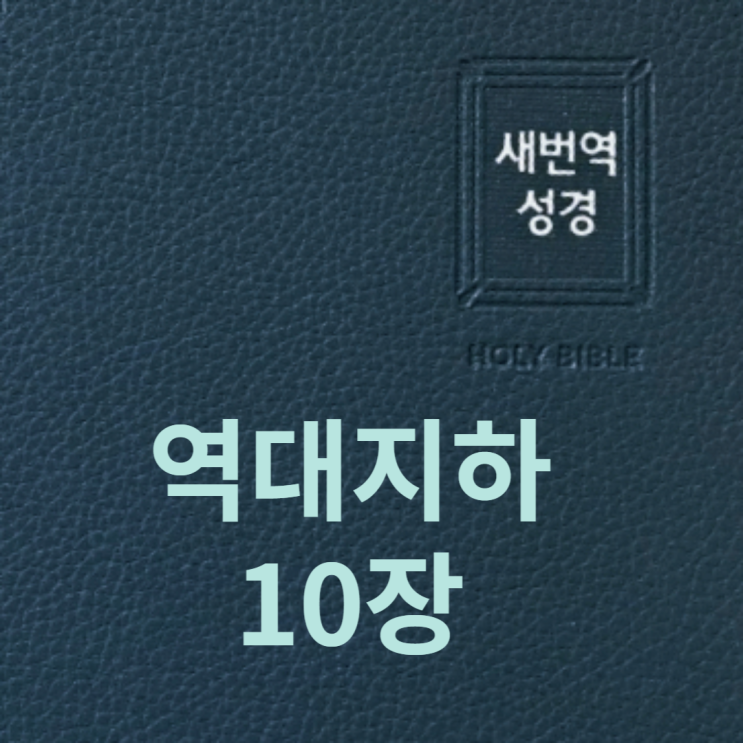역대지하 10장 역대지하 10장