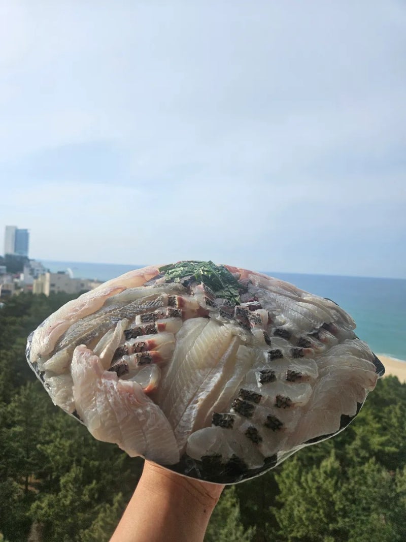 사진 3