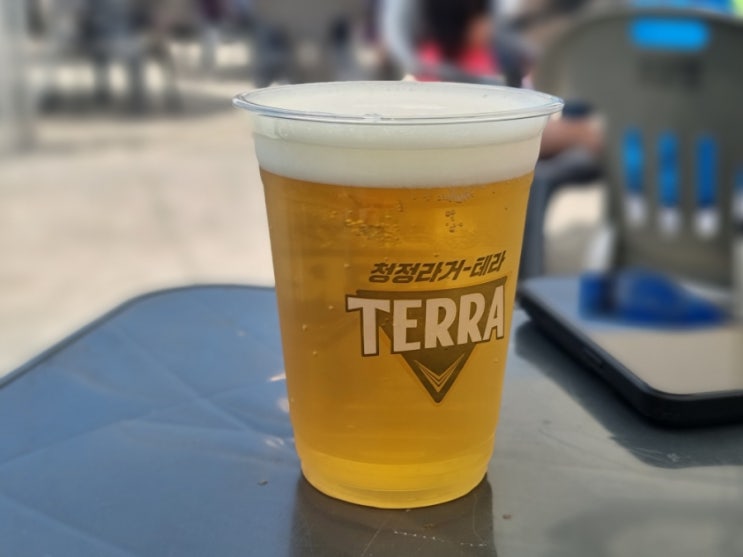  대전여행 중 5살 아이와 함께한 대전 맥주축제, 한빛탑 비어위크 대낮 나들이