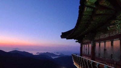 사진 7