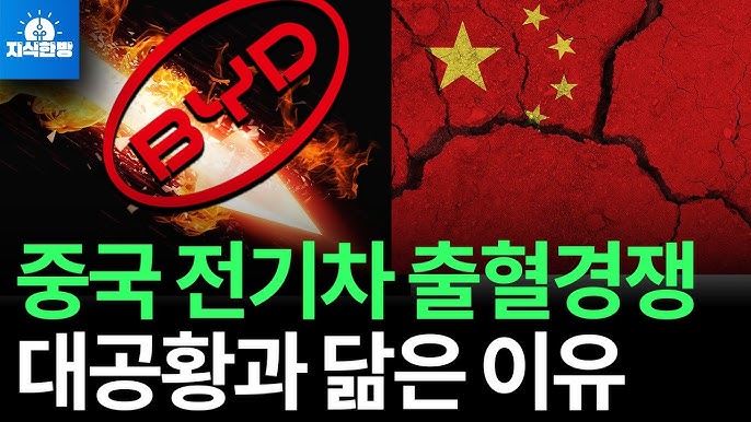 중국 전기차 출혈경쟁이 세계 대공황과 닮은 이유 중국 전기차 출혈경쟁이 세계 대공황과 닮은 이유