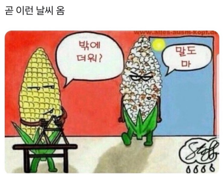  6월1주! 먹은 거+블로그 사진 불펌 당함+식집사 기록