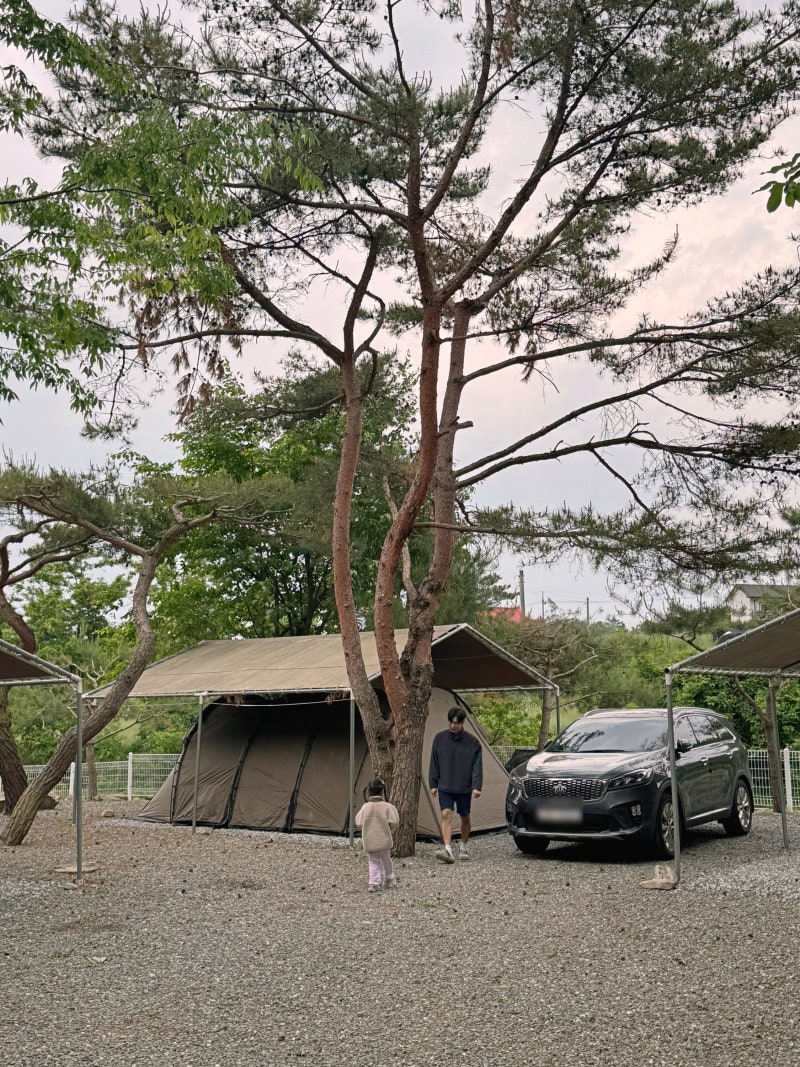 사진 3