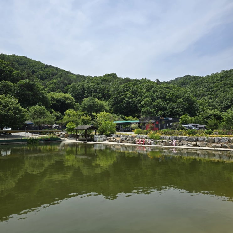  제천 은성낚시공원에서 외통낚시로 쉽게 향어 잡자.
