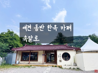 사진 4