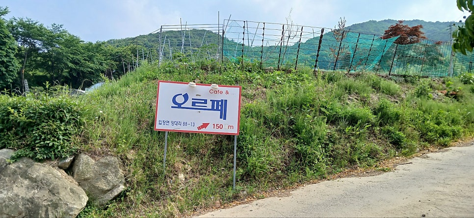 오르페 사진 1
