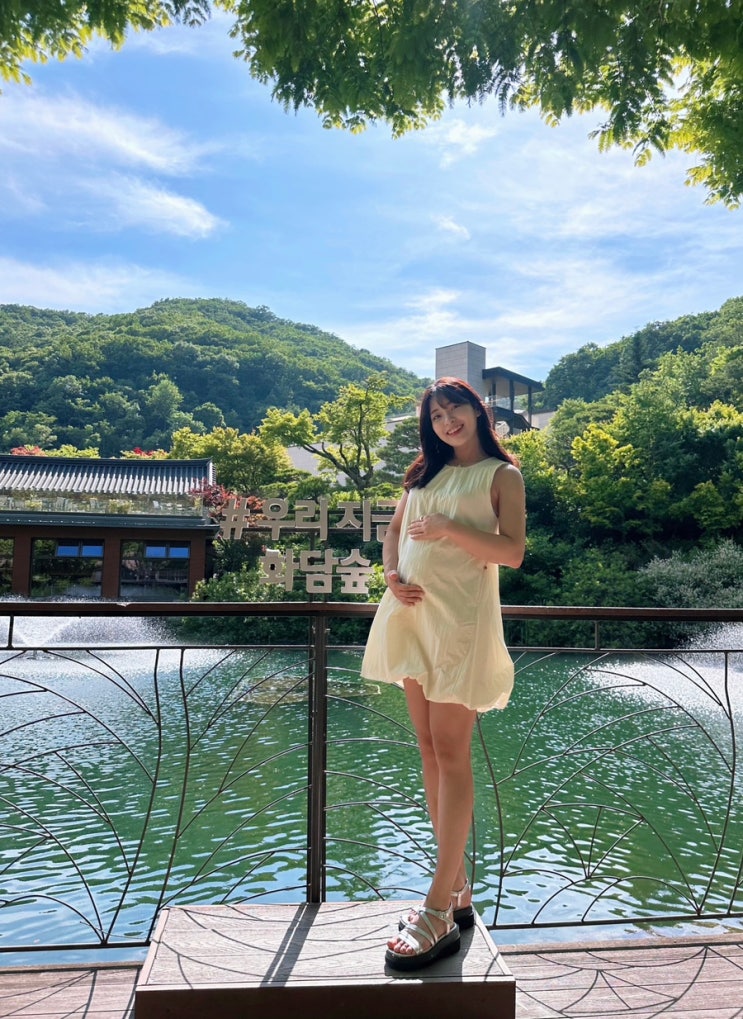  6월 서울 근교 가볼만한곳 화담숲 당일 예약 데이트 후기