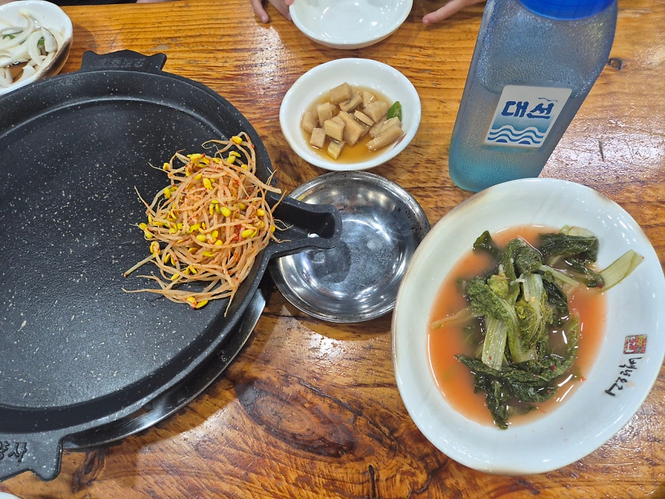 백년오리 사진 5