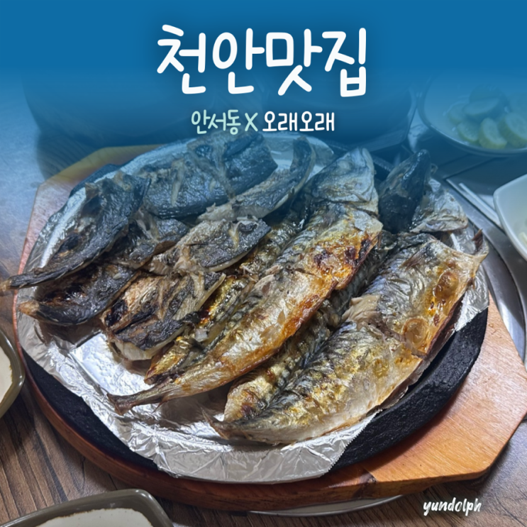  [천안맛집] 안서동 고등어 생선구이 맛집 ‘오래오래’