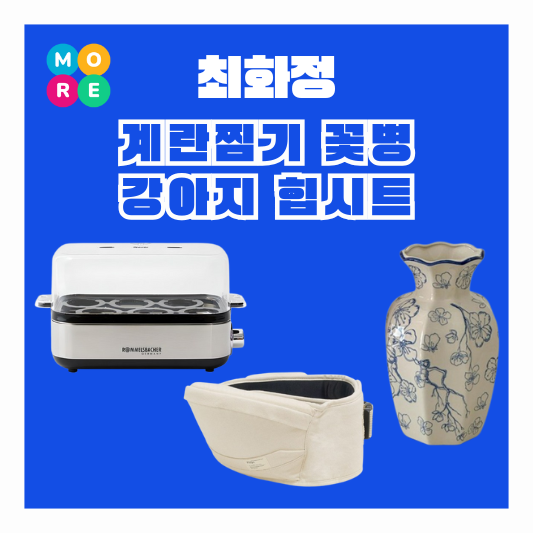  최화정 계란찜기 달걀찜기 에그쿠커 준이 힙시트 캐리어 꽃병 화병 어디꺼? 유튜브