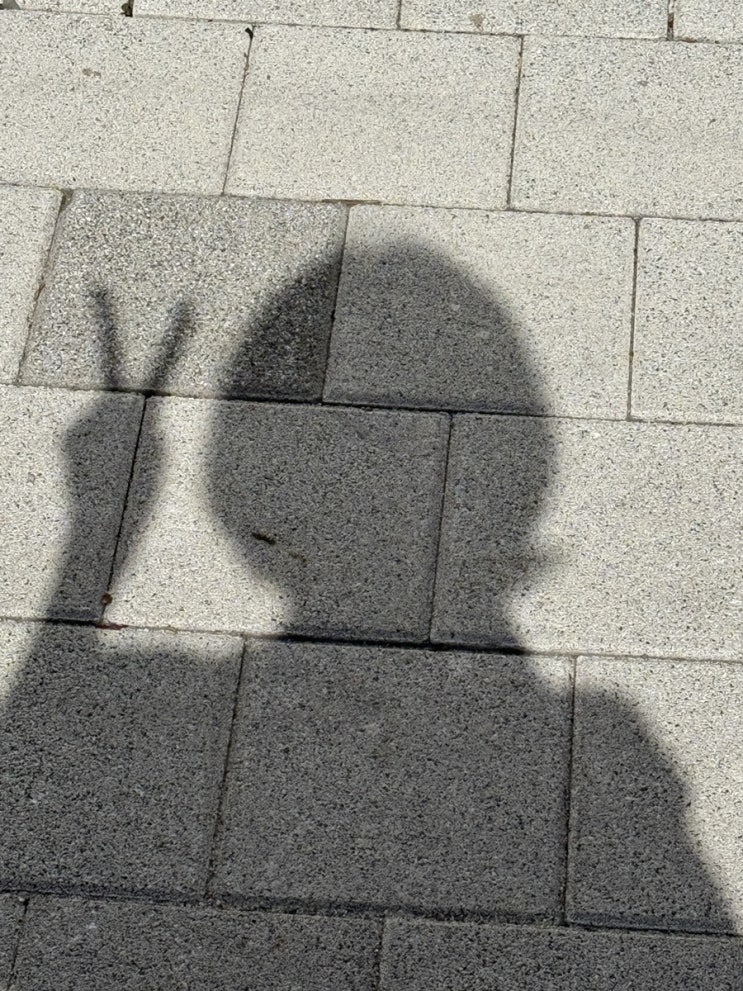  6월 시작 -
