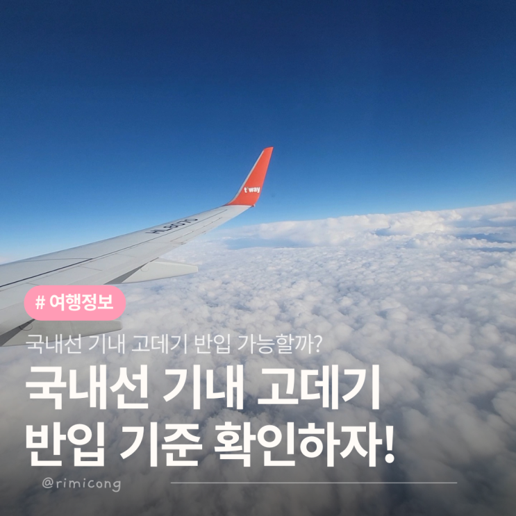  국내선 고데기 기내 반입 가능할까? 비행기 탈 때 꼭 확인!